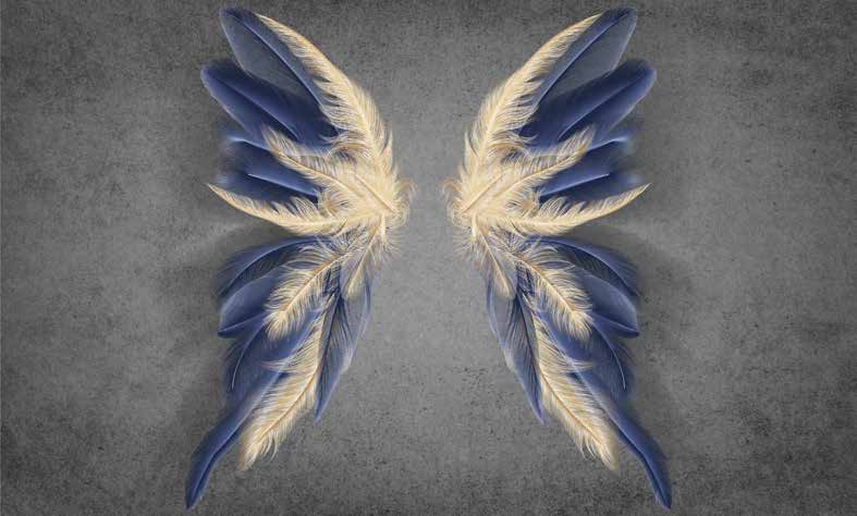 ورق حائط بوستر Palm & Feathers | 23083