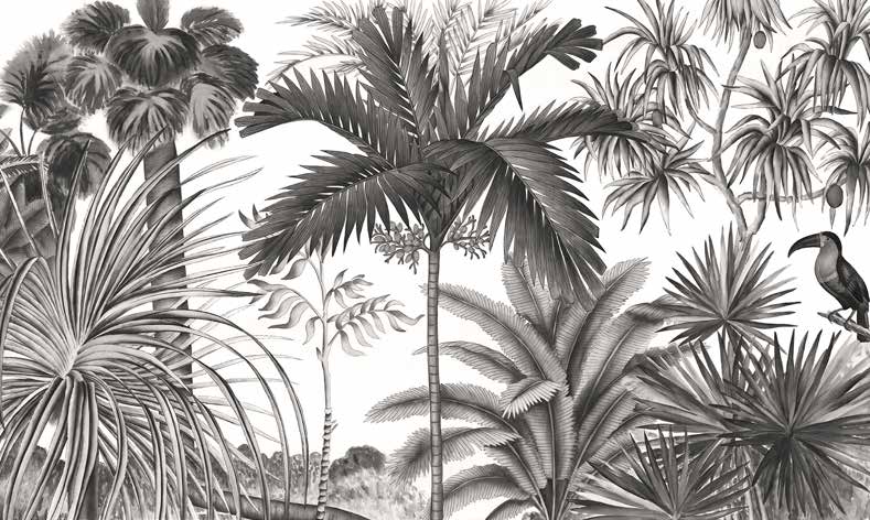 ورق حائط بوستر Tropical | 23151