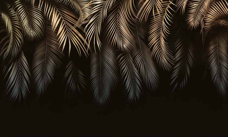 ورق حائط بوستر Palm & Feathers | 23011