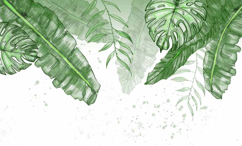 ورق حائط بوستر Tropical | 23116