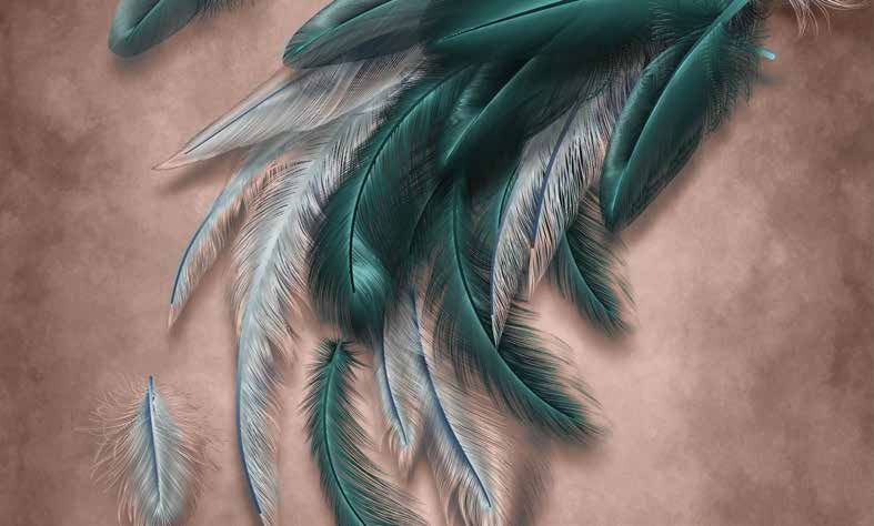 ورق حائط بوستر Palm & Feathers | 23082