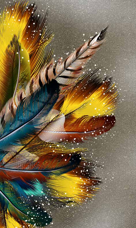 Poster Wallpaper Palm & Feathers | 23039