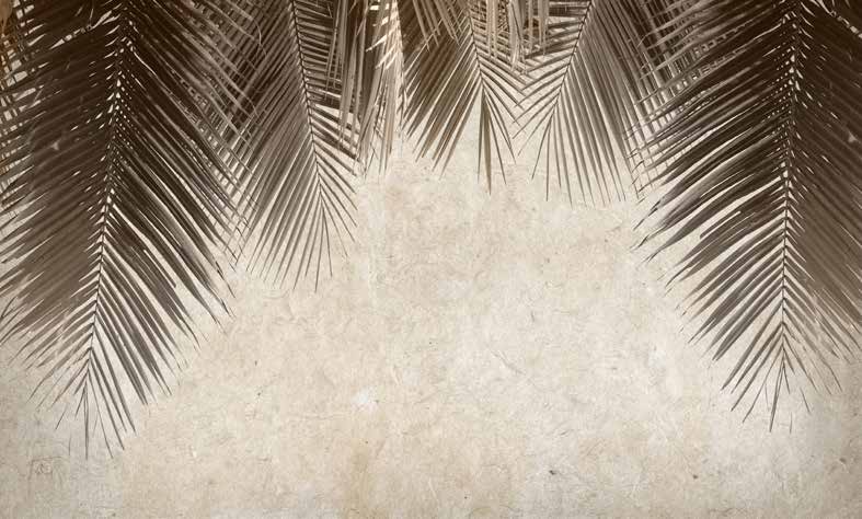 ورق حائط بوستر Palm & Feathers | 23015