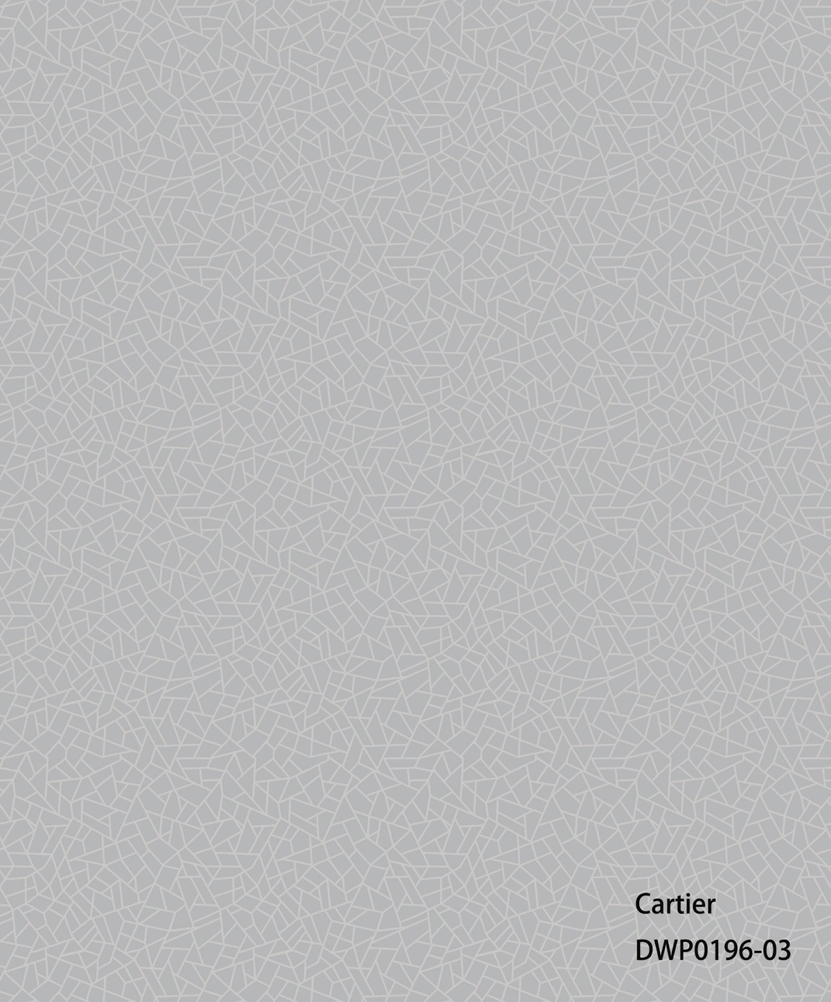 Cartier Modern 5M | DWP0196-03