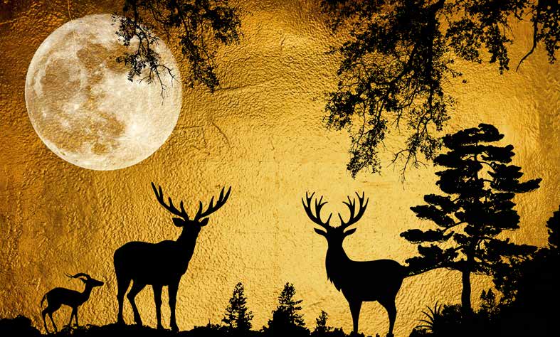 ورق حائط بوستر Chinese Deers & Panels & Geometric | 23287
