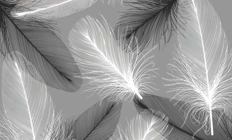 بوستر حائط Palm & Feathers 23068