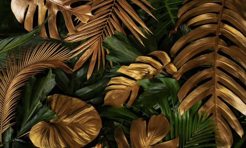ورق حائط بوستر Tropical | 23251