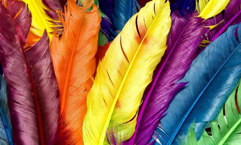 بوستر حائط Palm & Feathers 23046