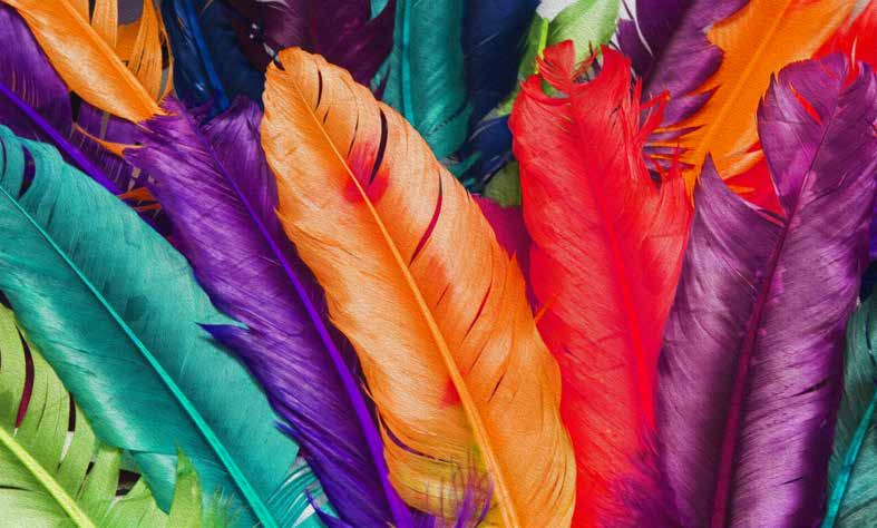 Poster Wallpaper Palm & Feathers | 23045