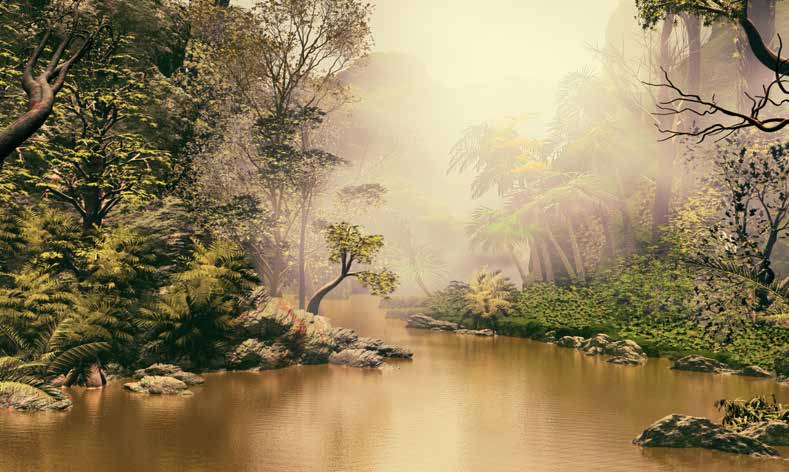 بوستر حائط Tropical 23152