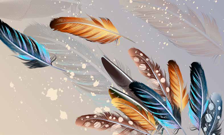 ورق حائط بوستر Palm & Feathers | 23071