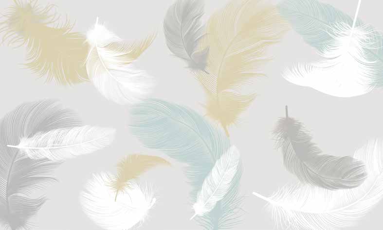 ورق حائط بوستر Palm & Feathers | 23100