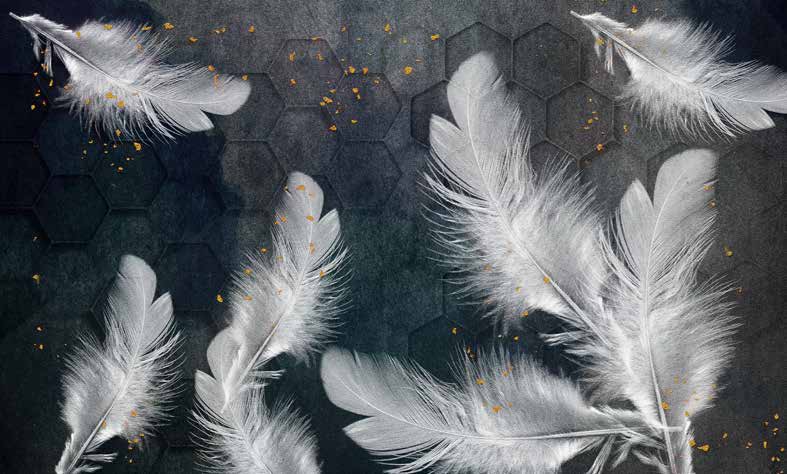 بوستر حائط Palm & Feathers 23064