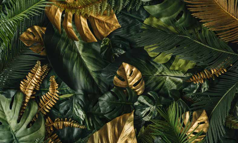 ورق حائط بوستر Tropical | 23246