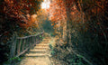 بوستر حائط Pharaonic & Landscapes & Nature 23823