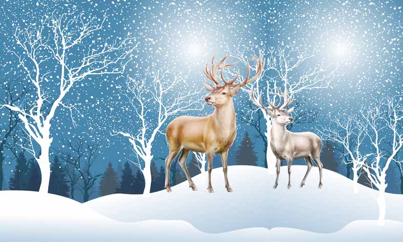 بوستر حائط Chinese Deers & Panels & Geometric 23283