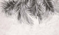بوستر حائط Palm & Feathers 23010