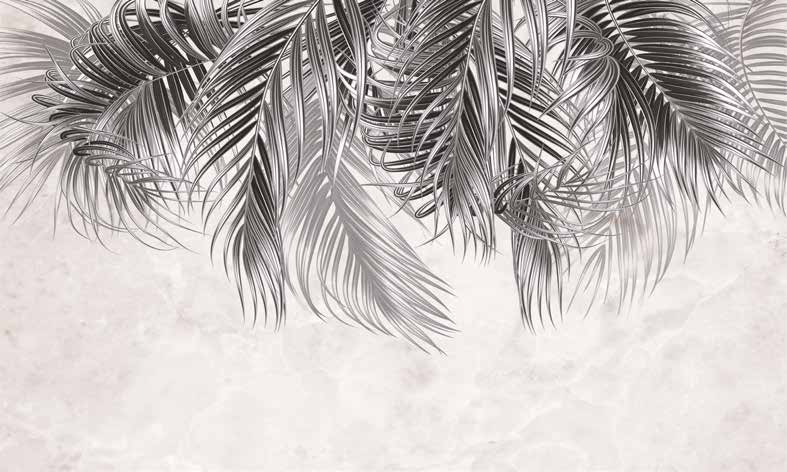 ورق حائط بوستر Palm & Feathers | 23010