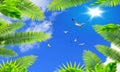 بوستر حائط Pharaonic & Landscapes & Nature 23908