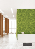 Aurora Modern 15M | 4013-1 room view