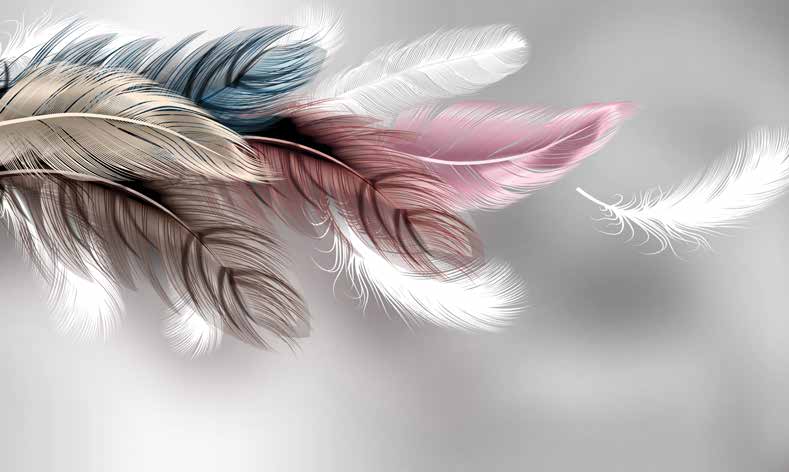 ورق حائط بوستر Palm & Feathers | 23092