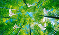 بوستر حائط Pharaonic & Landscapes & Nature 23905