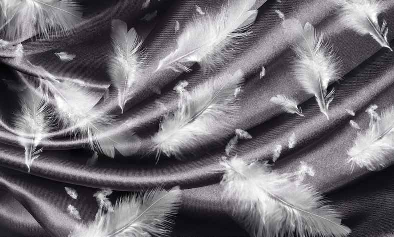 ورق حائط بوستر Palm & Feathers | 23063