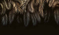 بوستر حائط Palm & Feathers 23011