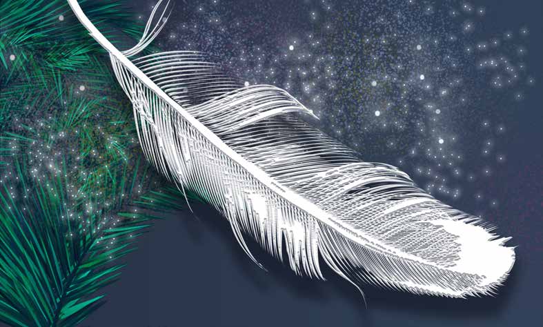 بوستر حائط Palm & Feathers 23036