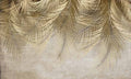 بوستر حائط Palm & Feathers 23023