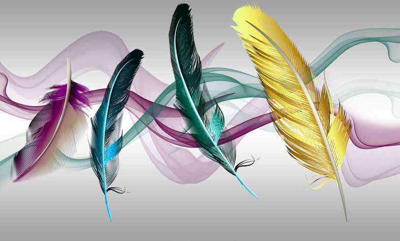 ورق حائط بوستر Palm & Feathers | 23072