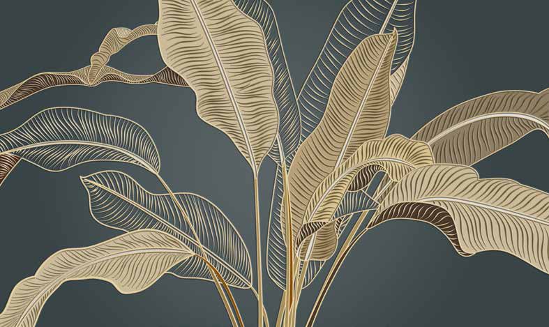 ورق حائط بوستر Palm & Feathers | 23024