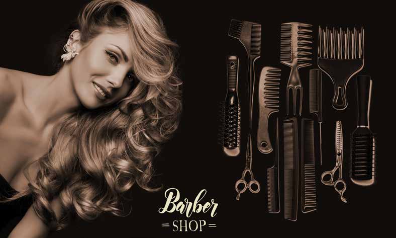 ورق حائط بوستر Salon | 24272