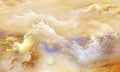 بوستر حائط Wall Textures 23501