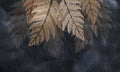 بوستر حائط Palm & Feathers 23025