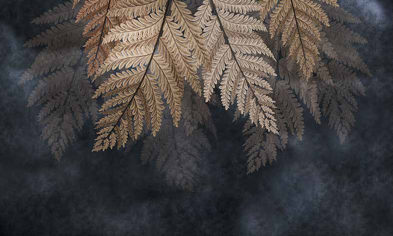 ورق حائط بوستر Palm & Feathers | 23025