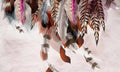 بوستر حائط Palm & Feathers 23050